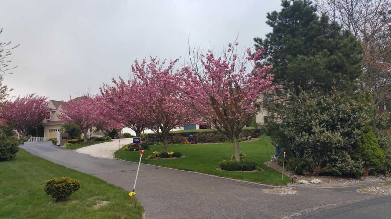 38 Oak Bluff Circle
